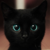 :iconcarryonkunek: