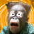 :iconcarsoneaa:
