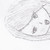 :iconcarsynlogan: