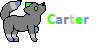 :iconcarter-and-friends: