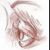 :iconcartoon-eyes: