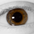 :iconcarver0510: