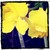 :iconcarwenbetha: