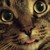 :iconcary500: