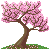 :iconcas223: