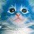 :iconcascadeshine: