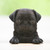 :iconcaseharts: