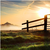 :iconcasesensitive21: