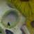 :iconcasey-jane: