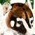 :iconcaseycoati:
