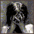 :iconcashty: