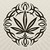 :iconcasiddu10design: