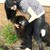 :iconcasidywolf255: