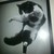 :iconcasserilla331: