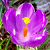 :iconcassidy1935: