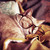 :iconcassieandrahh: