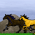 :iconcassies-stock: