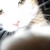 :iconcasslynx: