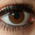 :iconcassy123456789: