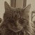 :iconcassy772: