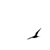 :iconcastamir: