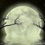 :iconcastiel1234: