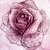 :iconcastin-luck-gamer:
