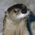 :iconcastinbronze: