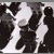 :iconcastintheshadows: