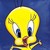 :iconcat--vaishu: