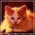:iconCat-Black: