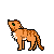 :iconcat-in-jumpstyle: