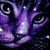 :iconcat-ladi: