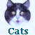 :iconcat-lover1973: