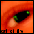 :iconcat-of-fire: