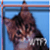:iconCat-soup:
