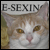 :iconcat-spy: