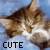 :iconcat-whisperer: