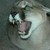 :iconcat-writer: