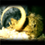 :iconcataclysm-child: