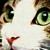 :iconcatacopter: