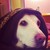 :iconcatacrylique: