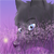 :iconcatadventure: