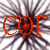 :iconCatalystOfFire:
