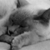 :iconcatasimperium: