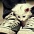 CatastropheFIRE13 :iconCatastropheFIRE13: