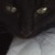 :iconcataver: