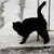 :iconcatbushnell13: