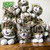 CatBuzz :iconcatbuzz: