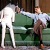 :iconcatchthehint: